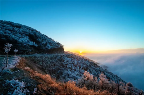 微信图片_20201205193732 微信图片_20201205193732.png