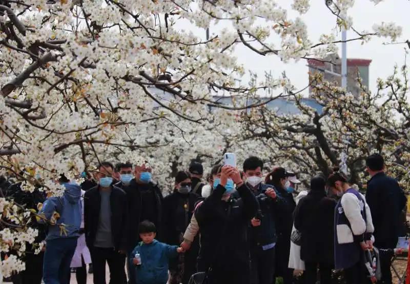 微信图片_20200327112942 微信图片_20200327112942.jpg