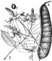 pagenumber_ebook=141,pagenumber_book=141