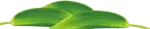 1 1.png?v=1787807885071