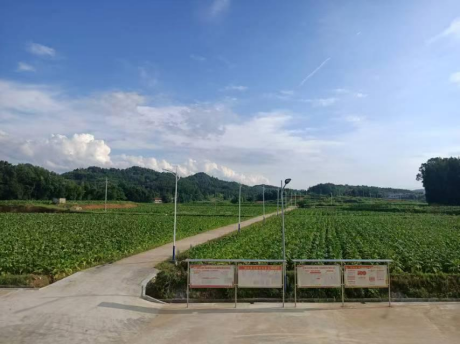 图片 27 图片 27.png