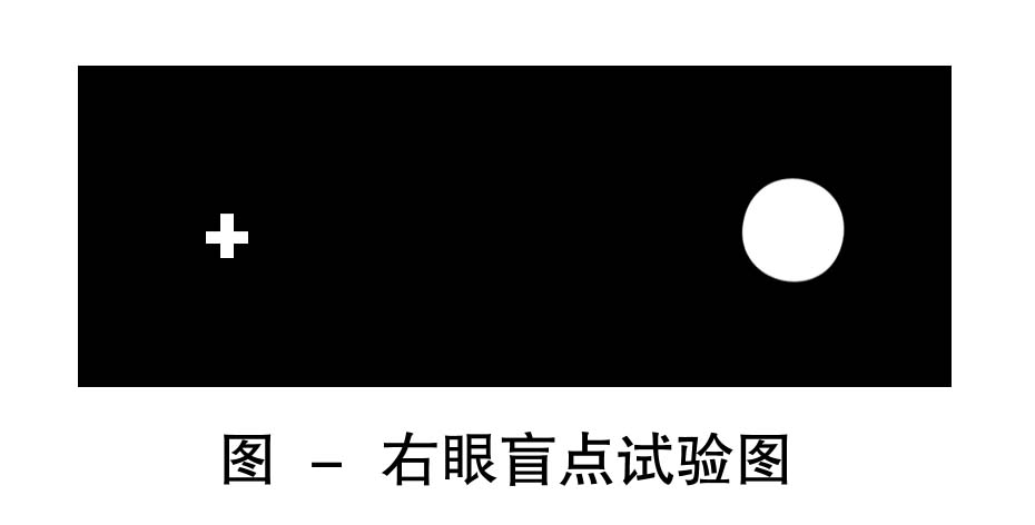 9-右眼盲点试验图.jpg