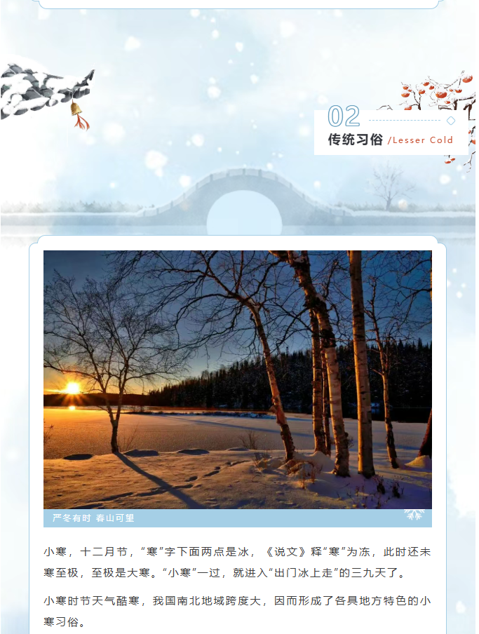 image.png?v=1770178027538