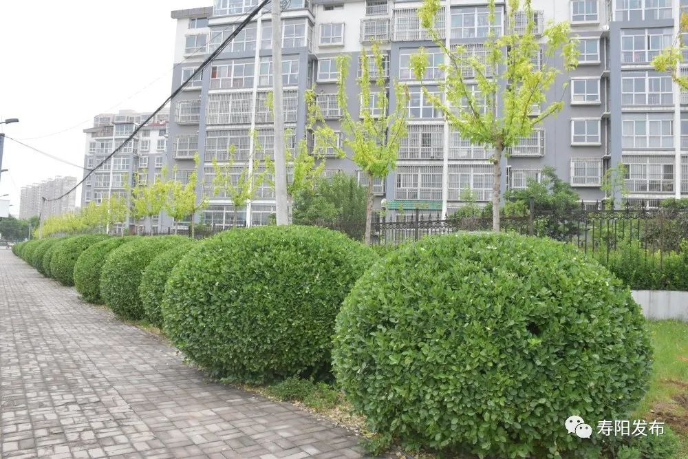 06044c51e7da74db96f8e3f84af84193_640_wx_fmt=jpeg&wxfrom=5&wx_lazy=1&wx_co=1 06044c51e7da74db96f8e3f84af84193_640_wx_fmt=jpeg&wxfrom=5&wx_lazy=1&wx_co=1.jpg