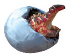 pagenumber_ebook=111,pagenumber_book=100