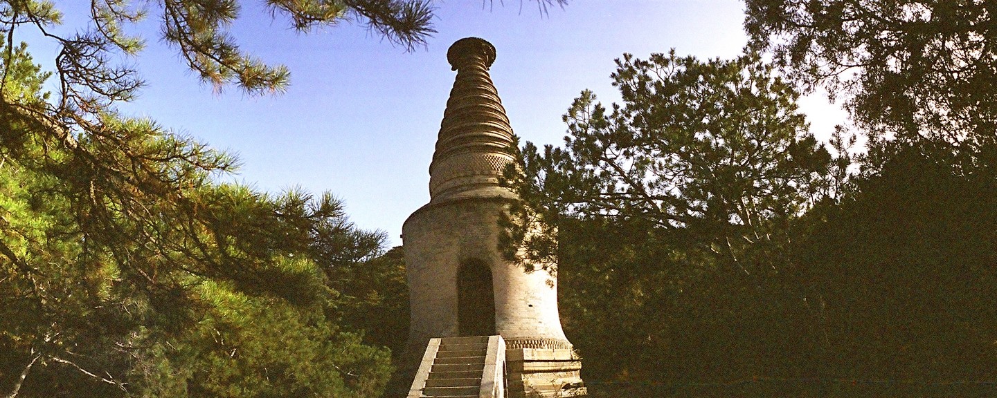 太原报王恩霖摄影010