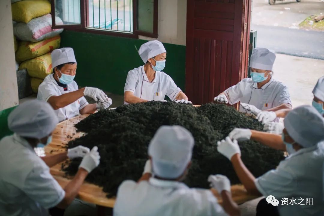 17 17.jpg?v=1765880647888