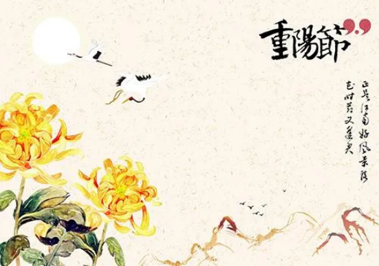 image image.png?v=1770186322046