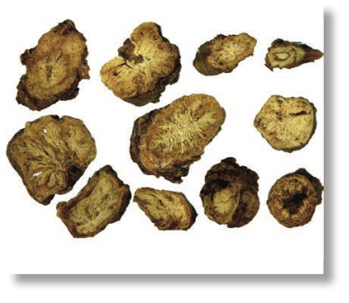 pagenumber_ebook=33,pagenumber_book=20