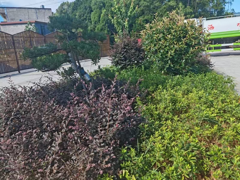 微信图片_20241214154637 微信图片_20241214154637.jpg