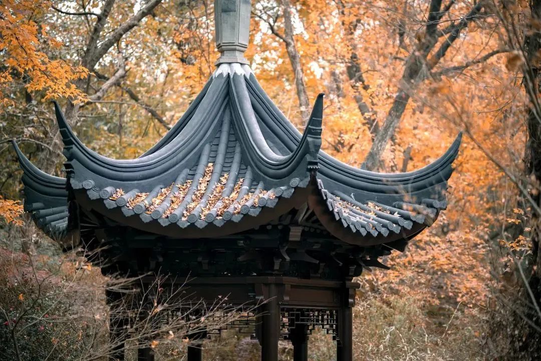 209ad7b67acc6f83d2ab1209ed88e7d4 209ad7b67acc6f83d2ab1209ed88e7d4.jpg