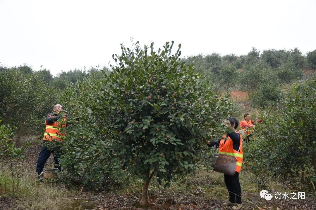 3 3.jpg?v=1765897829235