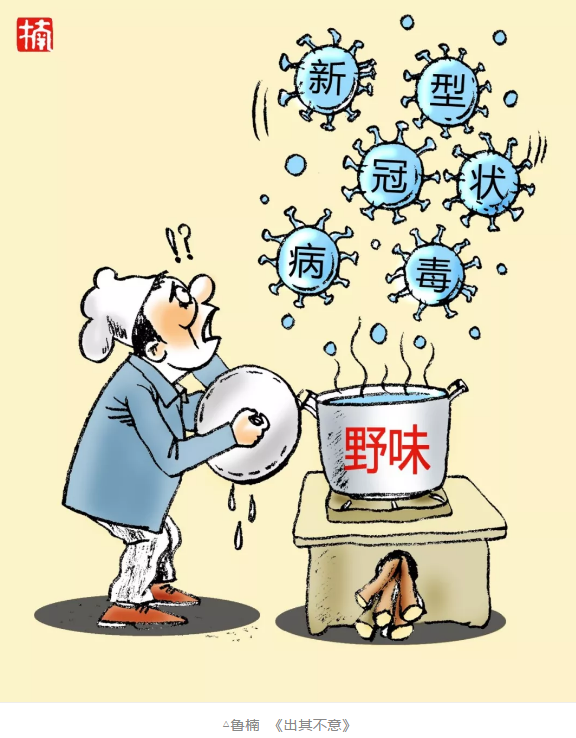 image image.png?v=1784605857098