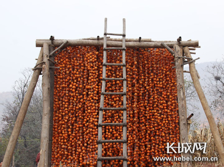 微信图片_20201213105543 微信图片_20201213105543.jpg