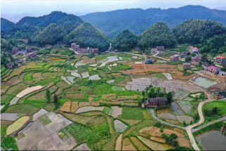 图片 3 图片 3.png