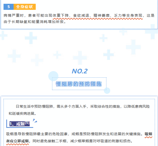 image.png?v=1766278511535