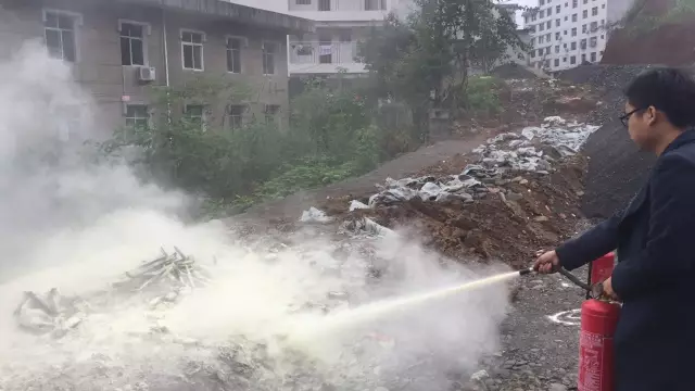 4 4.png?v=1765730287278