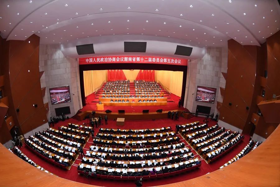 11 11.jpg?v=1765847773609