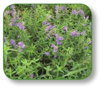 pagenumber_ebook=45,pagenumber_book=32