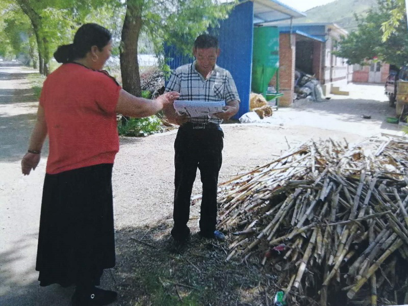 图片8 图片8.png?v=1765857596954