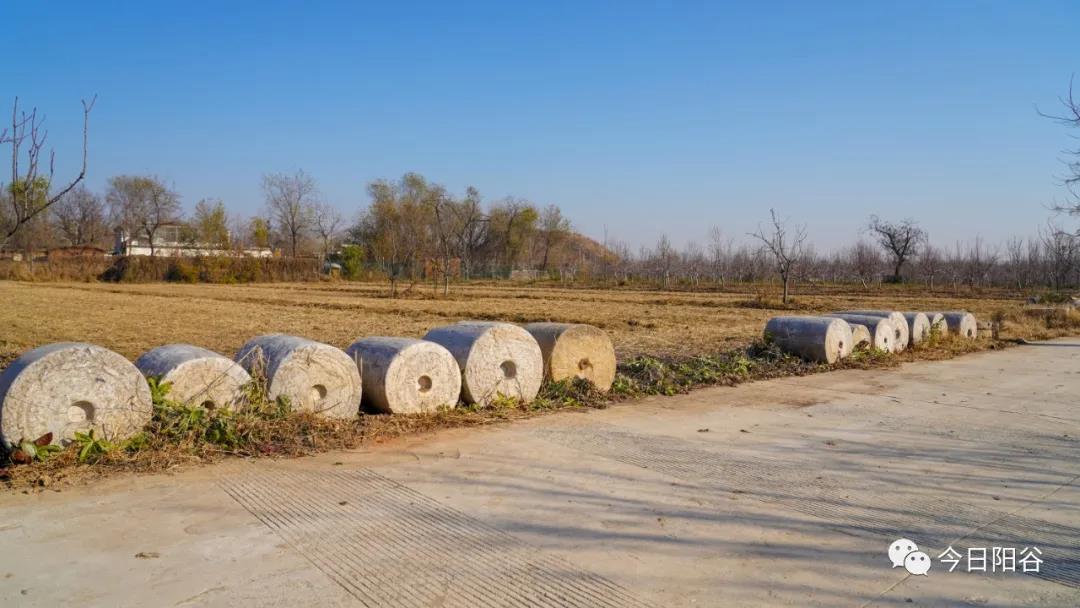 微信图片_20211222105936