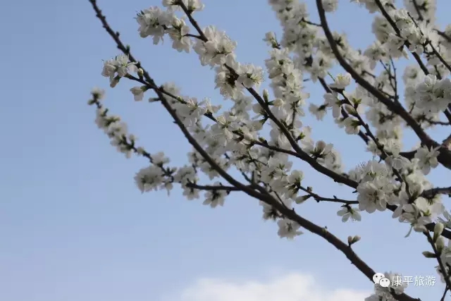 640.webp (3) 640.webp (3).jpg