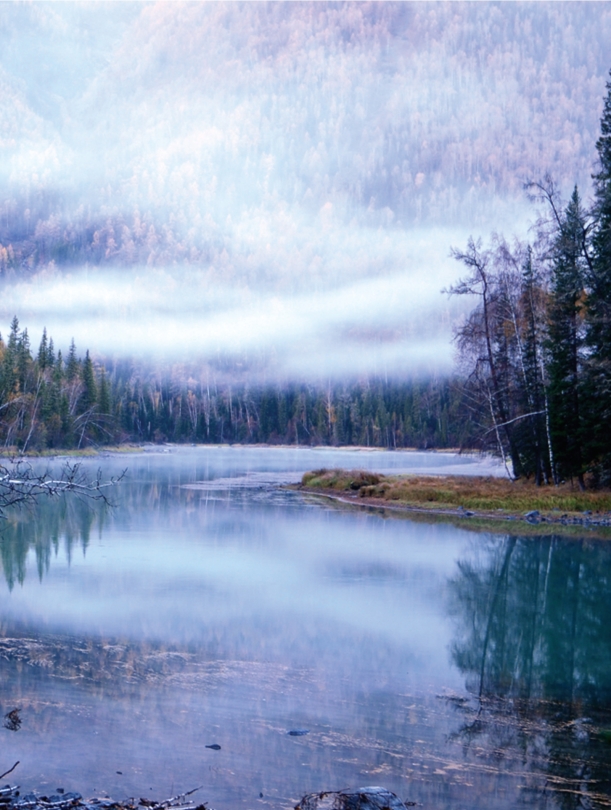 pagenumber_ebook=60,pagenumber_book=49