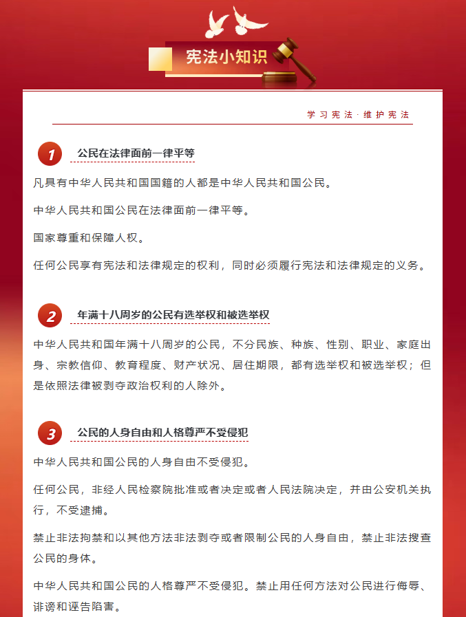 image.png?v=1766278436116