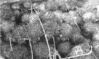 pagenumber_ebook=64,pagenumber_book=64