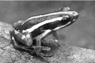 pagenumber_ebook=145,pagenumber_book=145