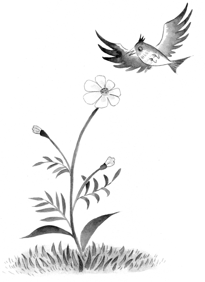 pagenumber_ebook=161,pagenumber_book=156