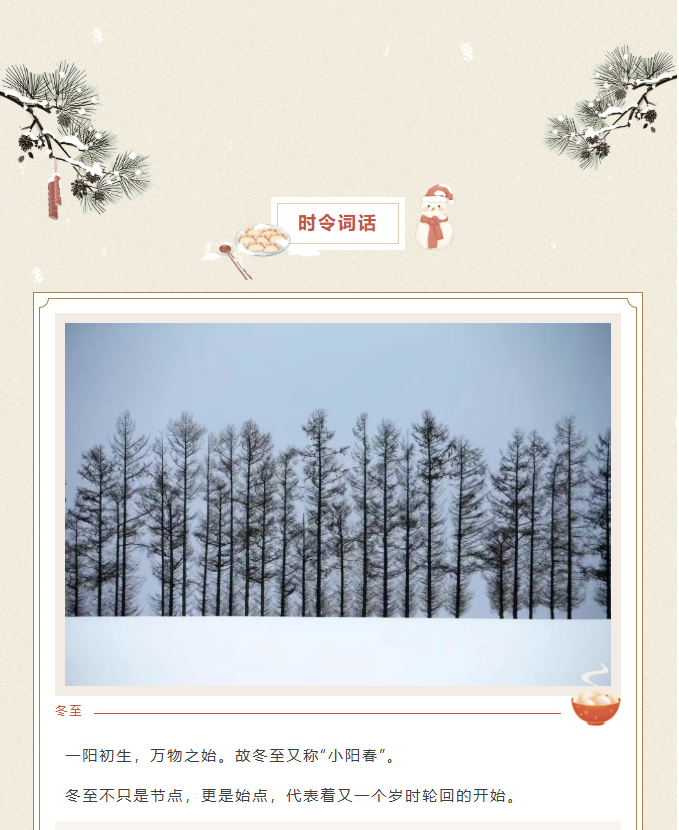 image.png?v=1770177741106