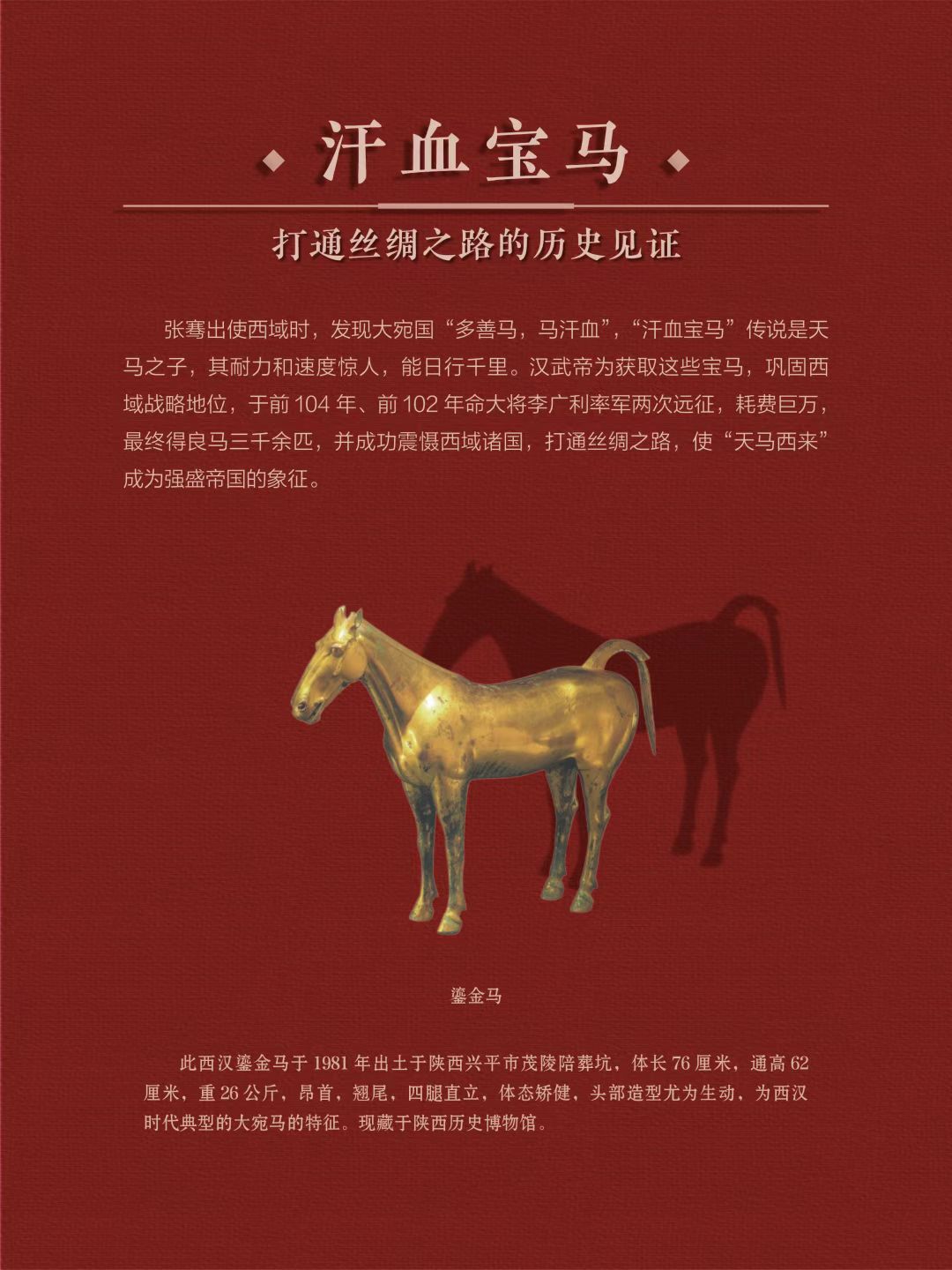 43af236e72006f8cba59f9a04dcd50b5.jpg?v=1774428987613