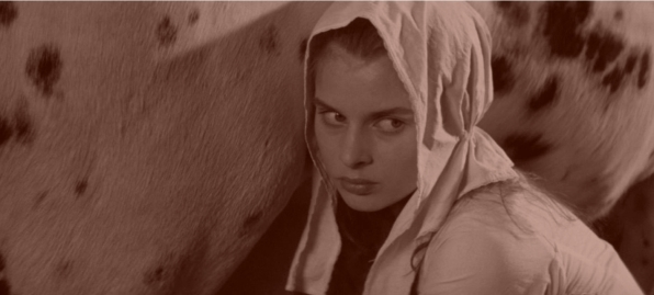 pagenumber_ebook=348,pagenumber_book=336