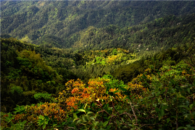 aa08--DSC_0472山巅西侧峡谷景观。 aa08--DSC_0472山巅西侧峡谷景观。.jpg