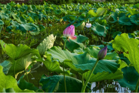 image image.png?v=1770185953980