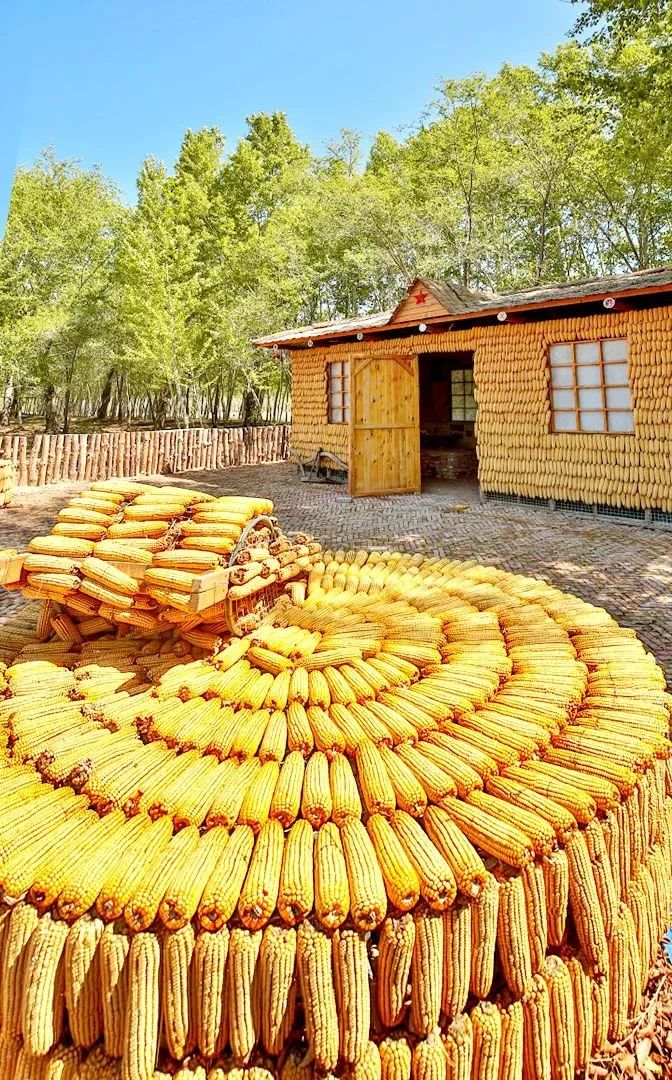 微信图片_20230904101740_3 微信图片_20230904101740_3.jpg