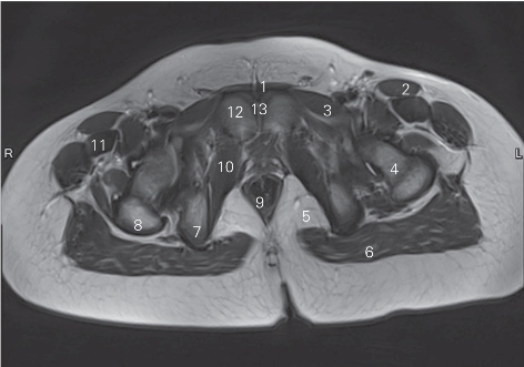 pagenumber_ebook=96,pagenumber_book=87
