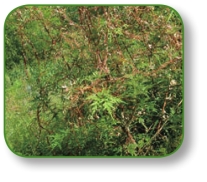 pagenumber_ebook=267,pagenumber_book=254