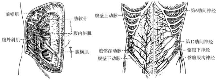 pagenumber_ebook=81,pagenumber_book=66