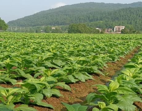 图片 22 图片 22.png