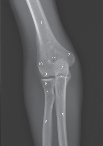 pagenumber_ebook=163,pagenumber_book=154