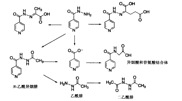 pagenumber_ebook=284,pagenumber_book=266