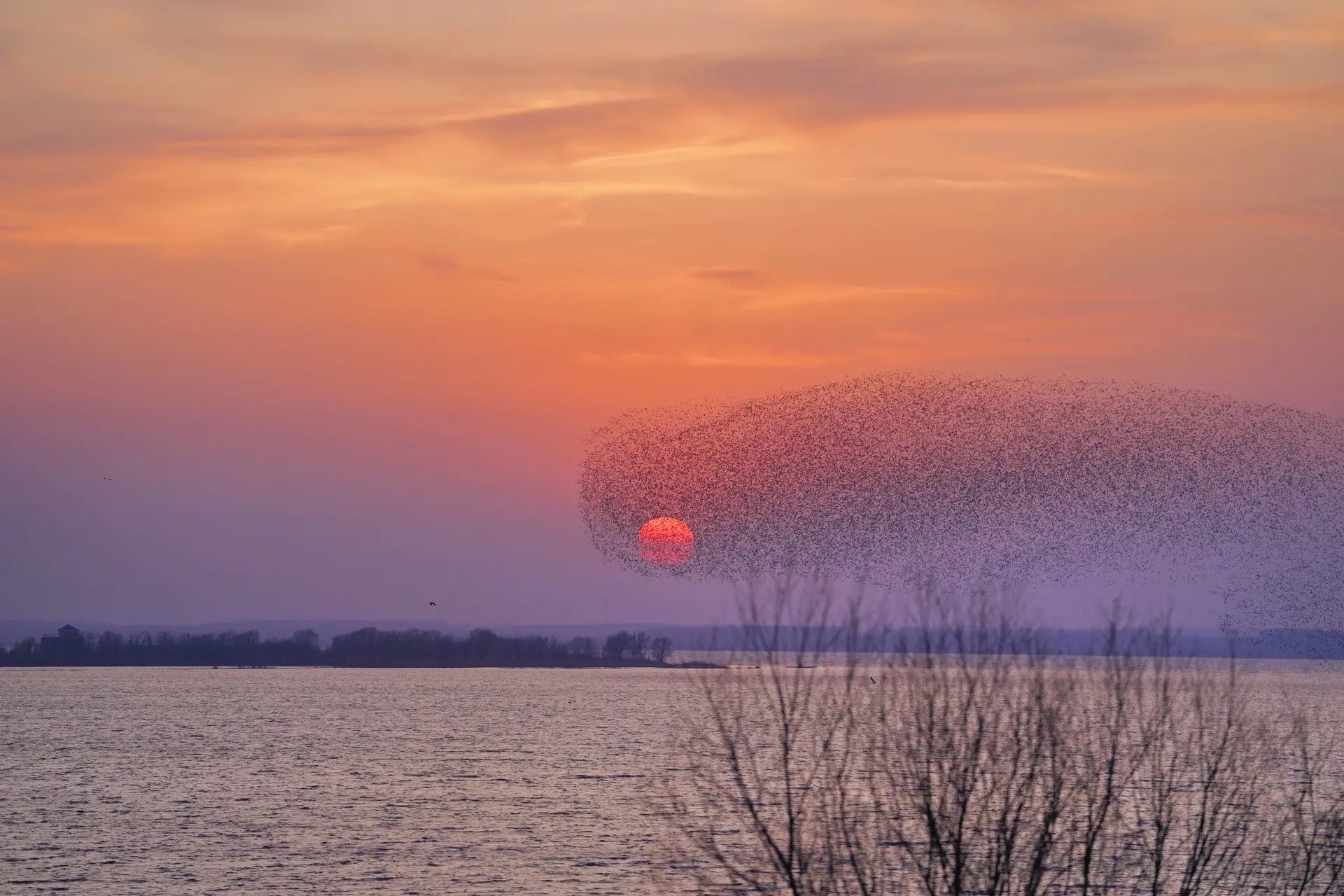 微信图片_20230705135932 微信图片_20230705135932.jpg