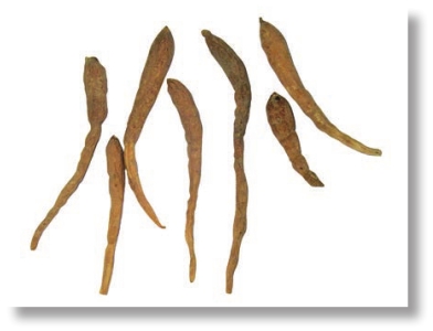 pagenumber_ebook=254,pagenumber_book=241