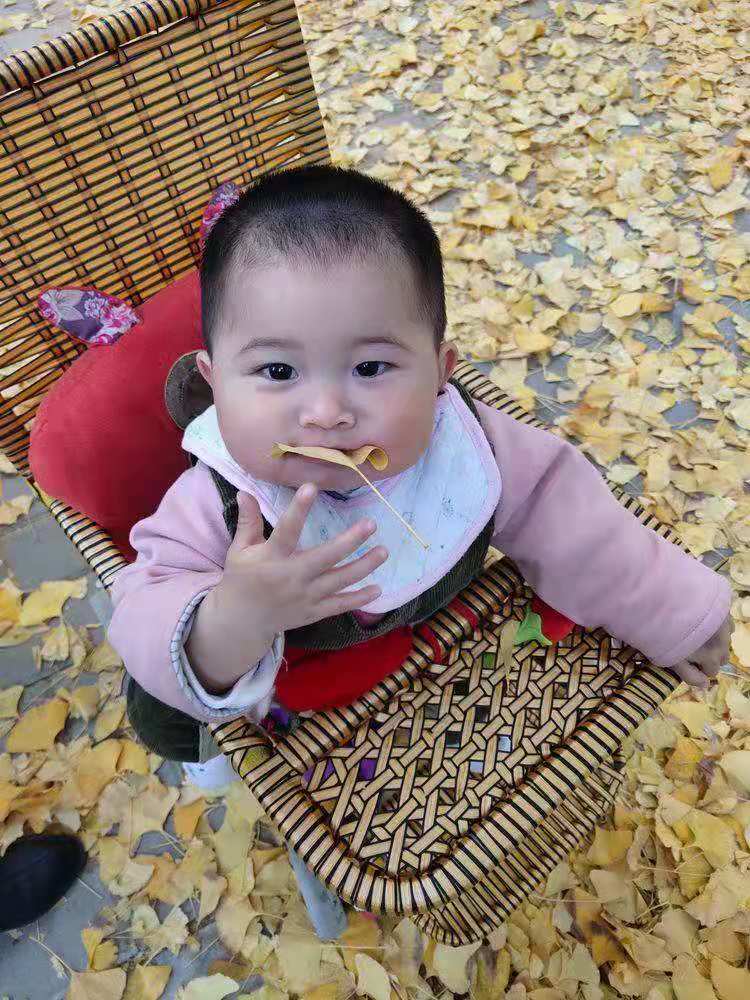 微信图片_202012141738191