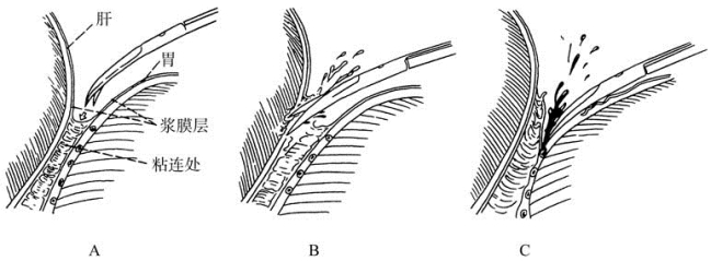 pagenumber_ebook=218,pagenumber_book=203