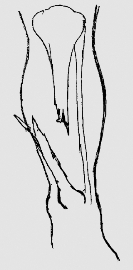 pagenumber_ebook=89,pagenumber_book=76