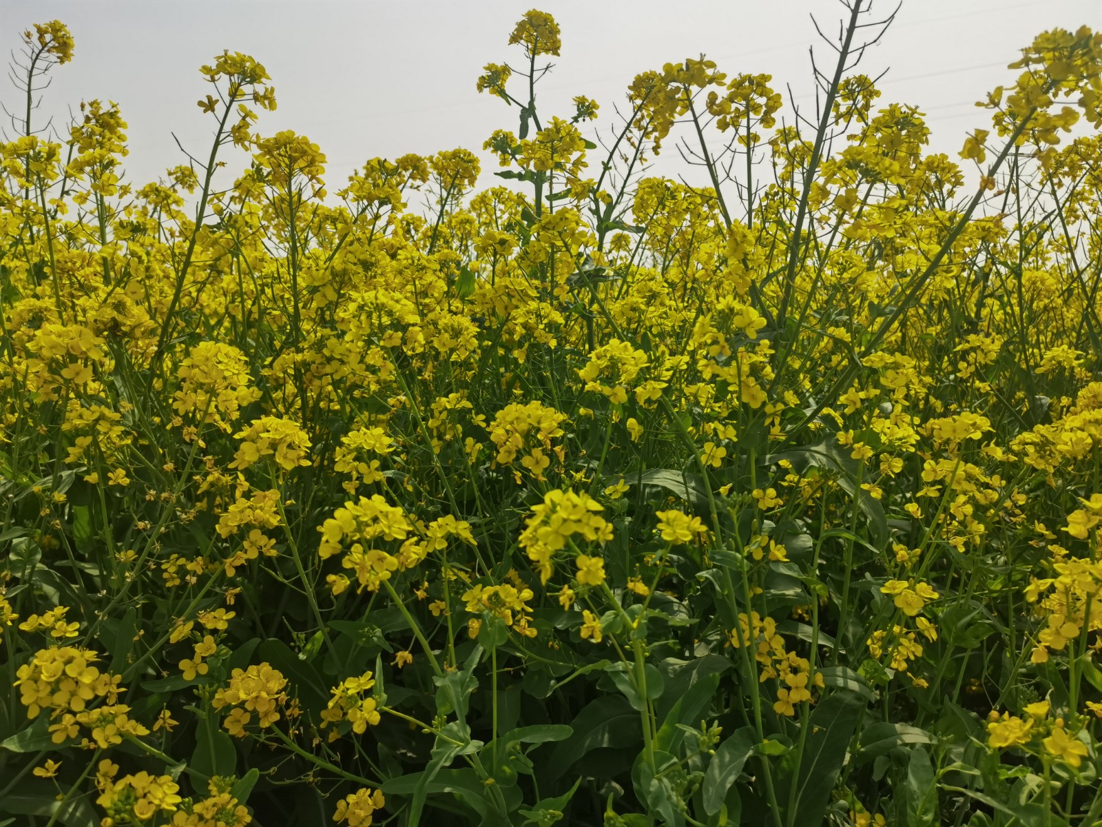 微信图片_202204011057053