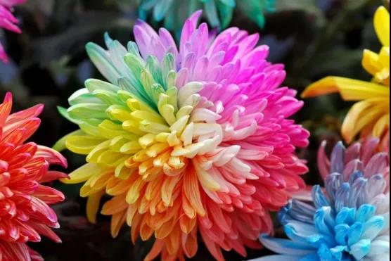 微信图片_20211111105424 微信图片_20211111105424.jpg